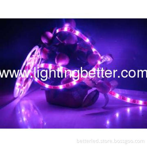 IP65 5050 SMD 60led/m RGB flexible Led strip